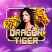 Dragon Tiger 789bingo