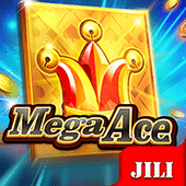 Mega Ace 789bingo slot