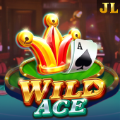 Wild Ace 789bingo slot